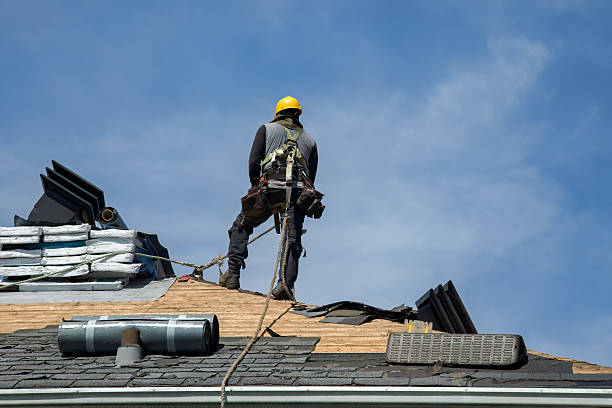 Professional Storm Damage Roof Repair technician working in Hookerton, NC
